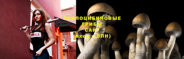 СК Переславль-Залесский
