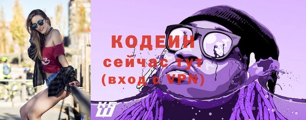 не бодяженный Осташков