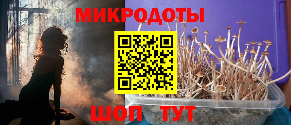 Псилоцибиновые грибы Cubensis Новосибирск